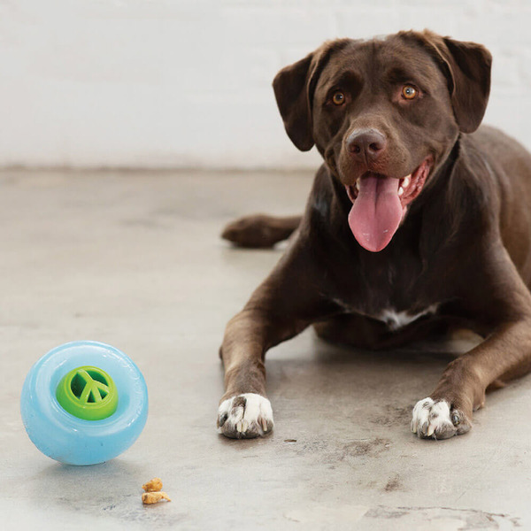 Planet Dog Nook 塞食球