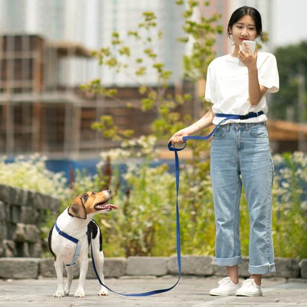 PLAYBOW 多功能柔軟牽繩 (插扣) 2m