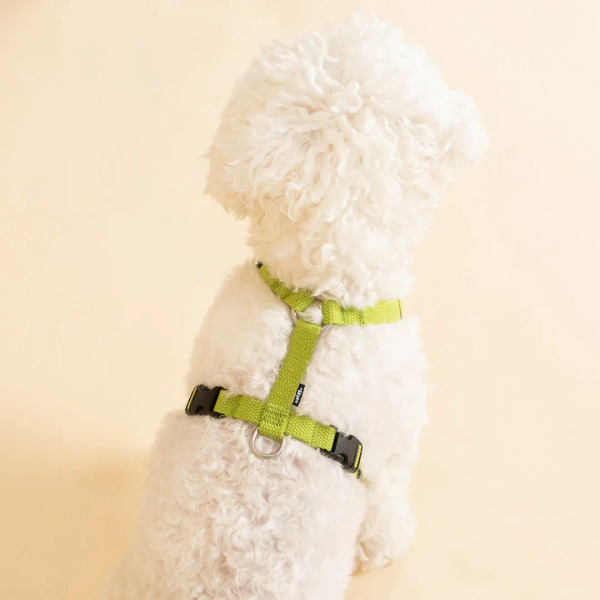 PLAYBOW 素色H型胸背帶