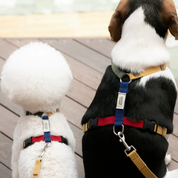 PLAYBOW 彩色H型胸背帶