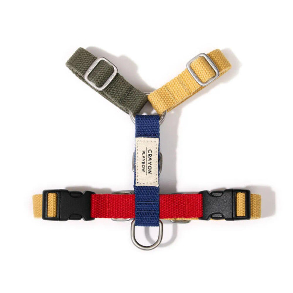 PLAYBOW 彩色H型胸背帶