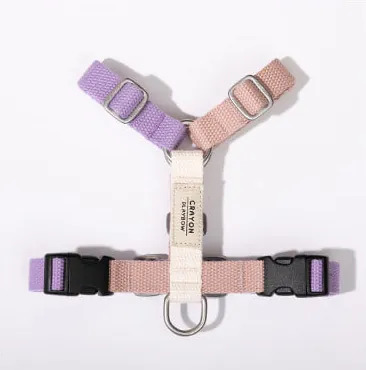 PLAYBOW 彩色H型胸背帶