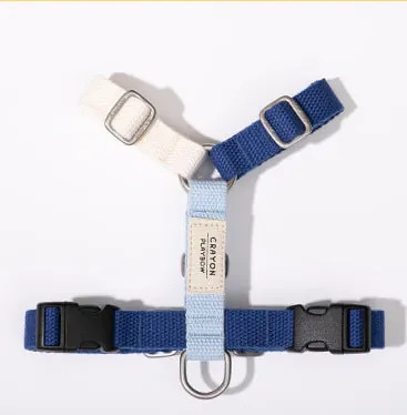 PLAYBOW 彩色H型胸背帶