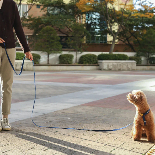 PLAYBOW 多功能柔軟牽繩 (鉤環) 2m