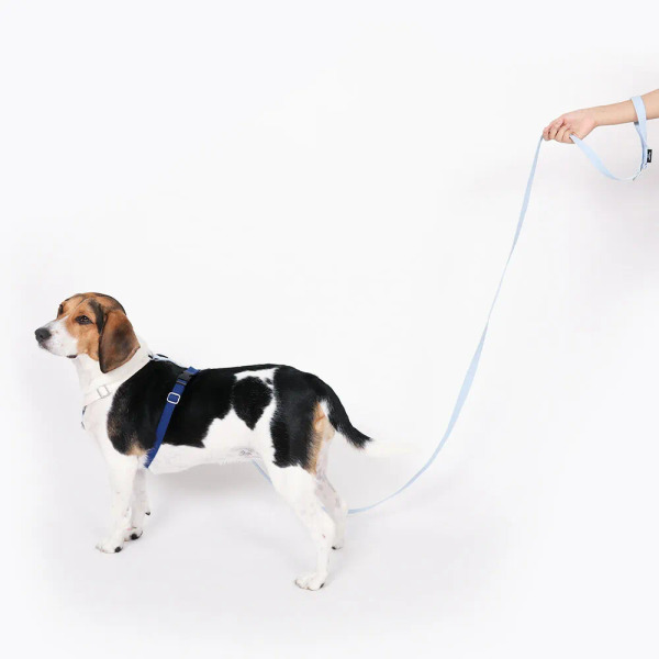 PLAYBOW 多功能柔軟牽繩 (鉤環) 2m