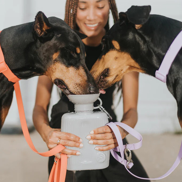 Springer 大容量旅行水壺 1301ml