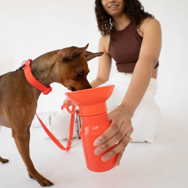 Springer 迷你旅行水壺 450ml