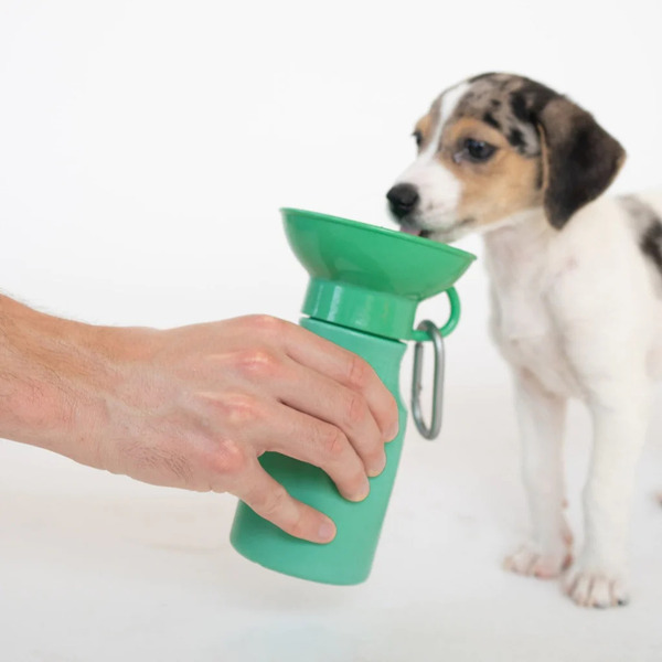 Springer 迷你旅行水壺 450ml