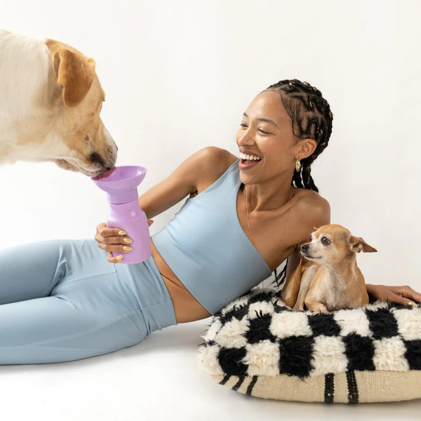 Springer 迷你旅行水壺 450ml