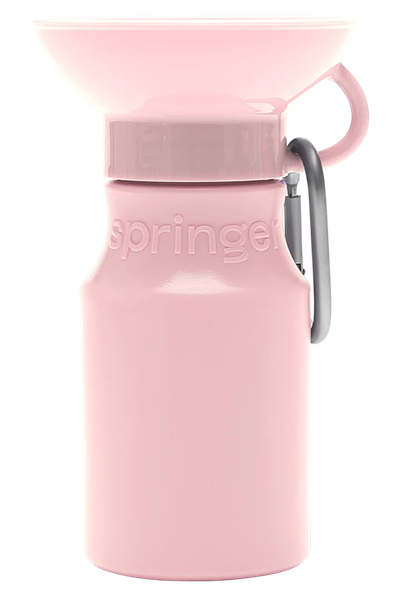 Springer 迷你旅行水壺 450ml
