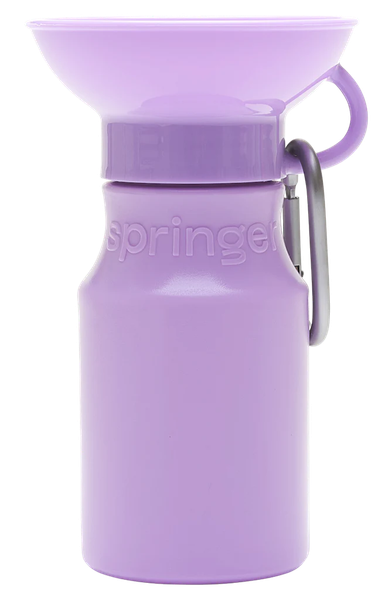 Springer 迷你旅行水壺 450ml