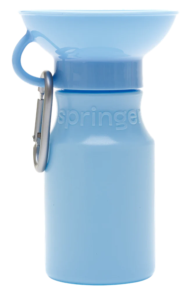 Springer 迷你旅行水壺 450ml