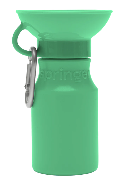 Springer 迷你旅行水壺 450ml