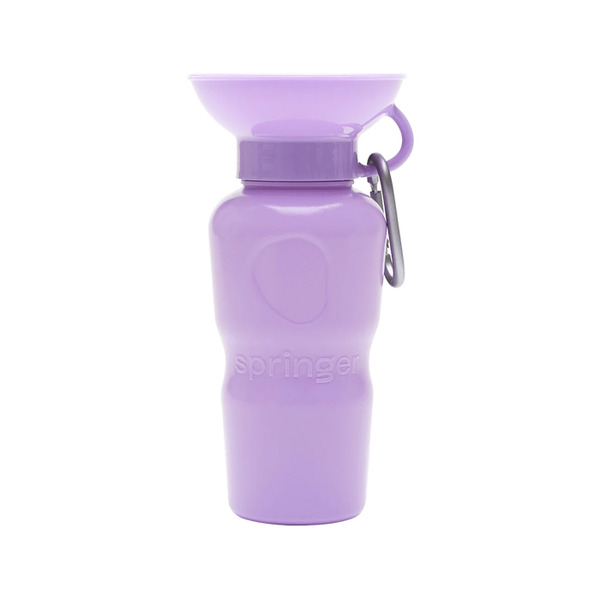 Springer 經典旅行水壺 650ml