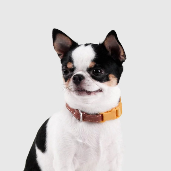 SPUTNIK Explore Collar 項圈