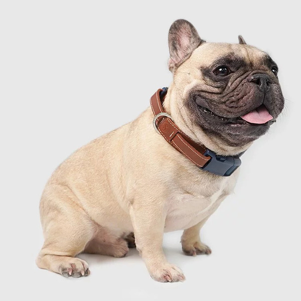 SPUTNIK Explore Collar 項圈