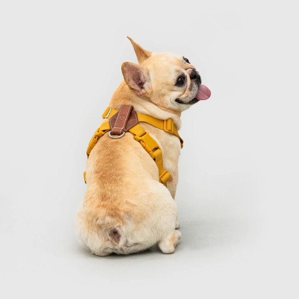 SPUTNIK Explore Harness 胸背帶