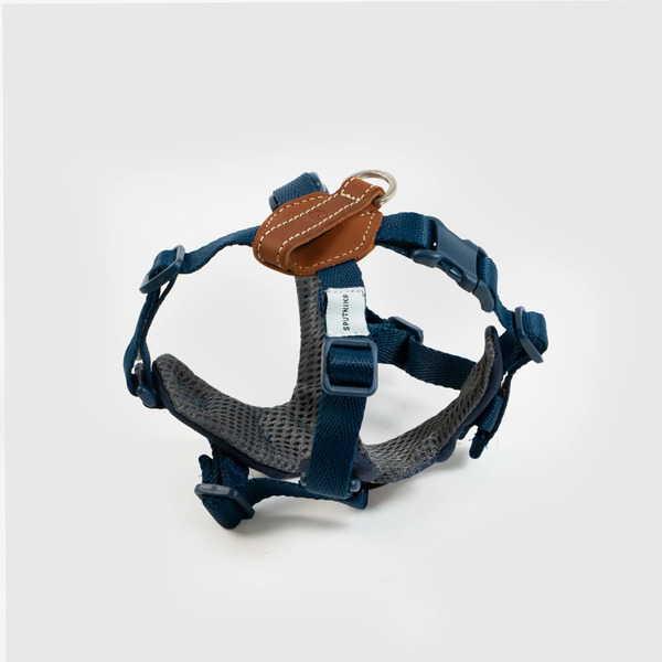 SPUTNIK Explore Harness 胸背帶