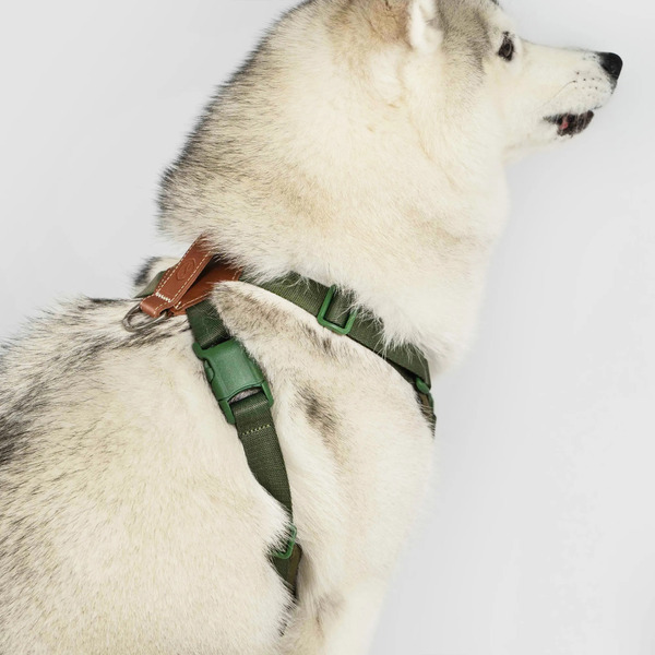 SPUTNIK Explore Harness 胸背帶