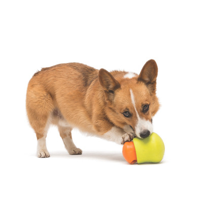 West Paw Toppl 益智搖擺漏食