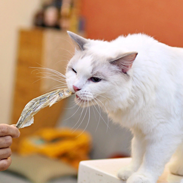 卡尼純肉零食 香酥卵卵柳葉魚