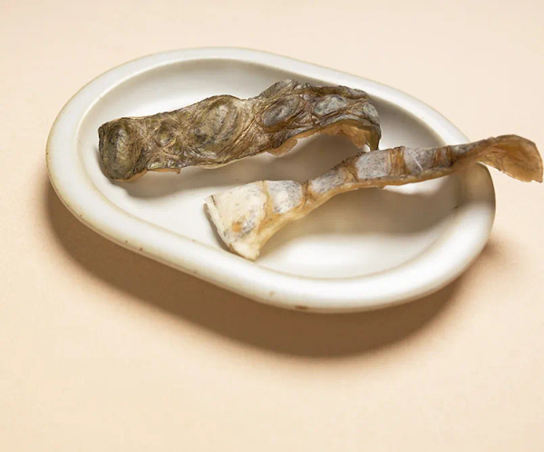 趴趴狗手工零食 鱷魚皮