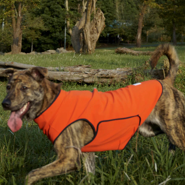 時毛小孩 防潑水跑跑衣 木棉