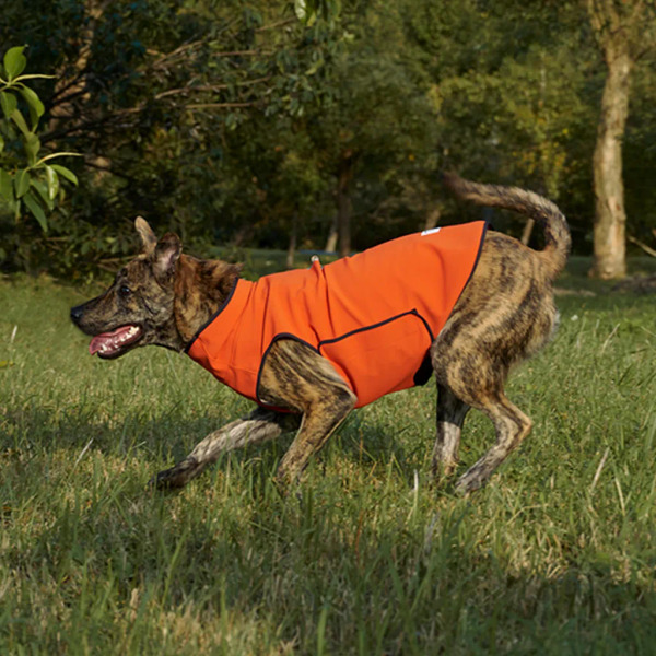 時毛小孩 防潑水跑跑衣 木棉