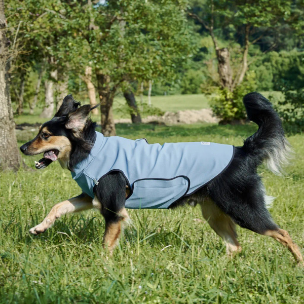 時毛小孩 防潑水跑跑衣 冰川湖