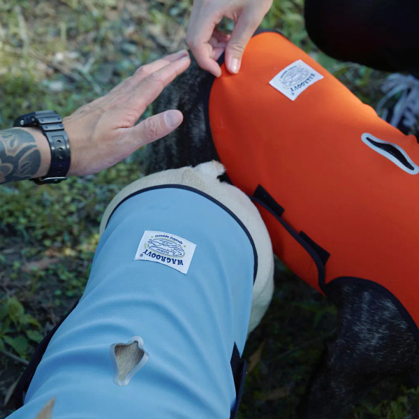 時毛小孩 防潑水跑跑衣 冰川湖
