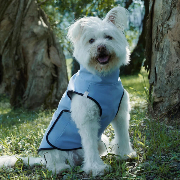 時毛小孩 防潑水跑跑衣 冰川湖