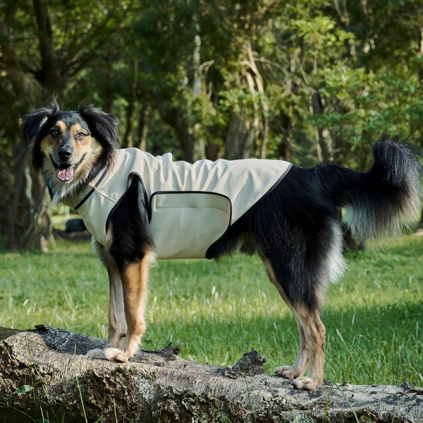 時毛小孩 防潑水跑跑衣 燕麥