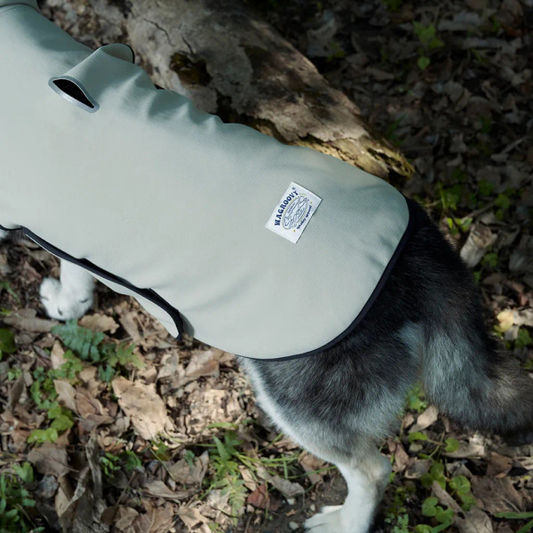 時毛小孩 防潑水跑跑衣 燕麥