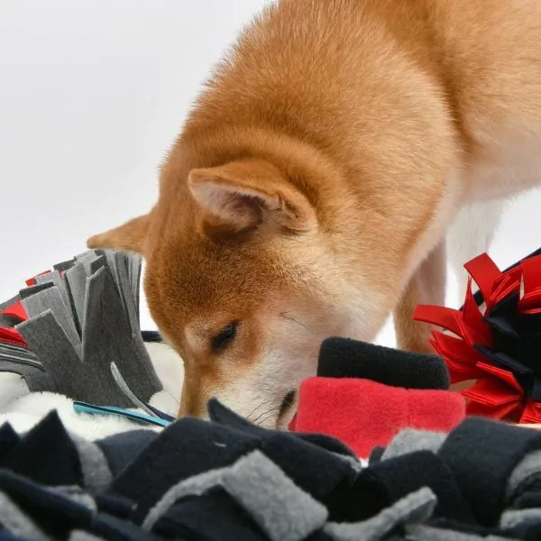 Puppia 大嘴鯊魚嗅聞墊