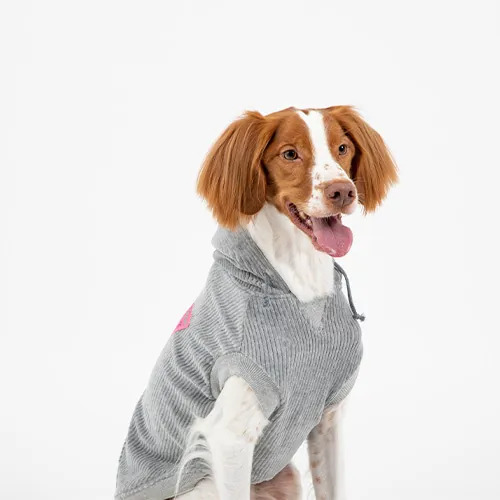 Puppy Gallery 燈芯絨連帽T