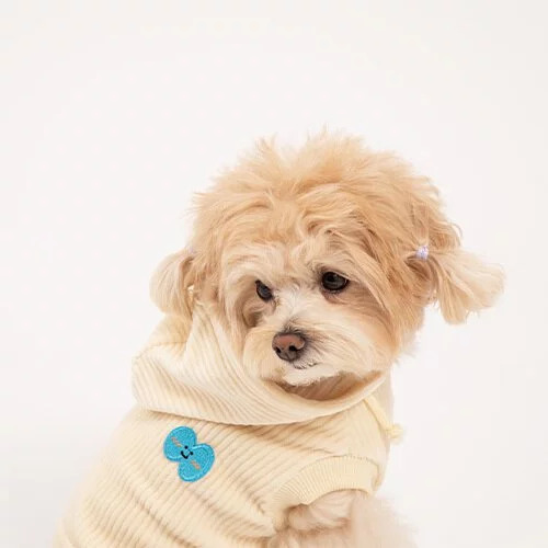 Puppy Gallery 燈芯絨連帽T