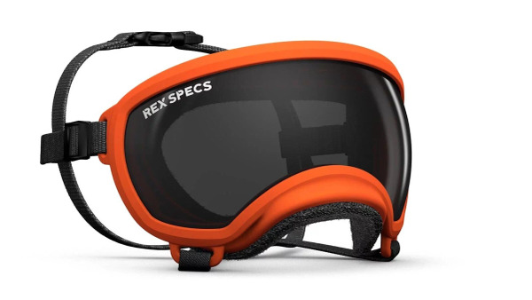 Rex Specs 犬用太陽護目鏡