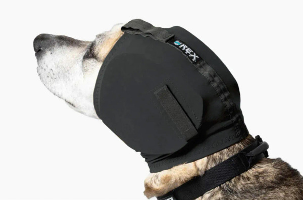 Rex Specs 犬用耳罩