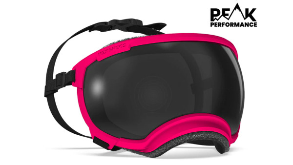 Rex Specs 第二代犬用太陽護目鏡