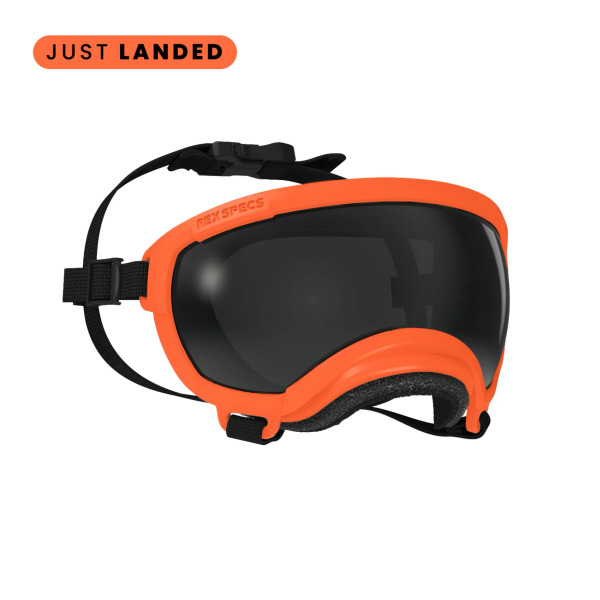 Rex Specs 第二代犬用太陽護目鏡