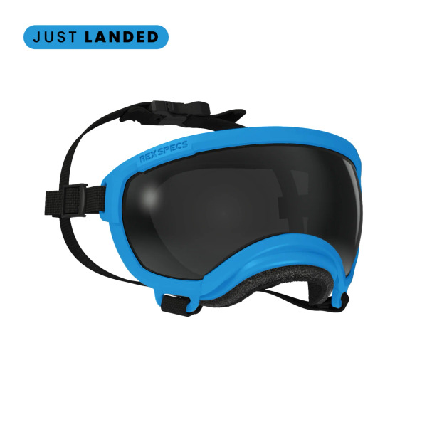 Rex Specs 第二代犬用太陽護目鏡