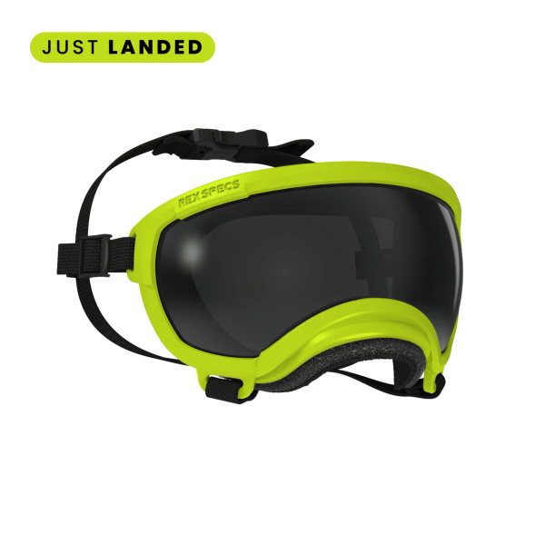 Rex Specs 第二代犬用太陽護目鏡