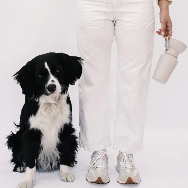 Springer 可收納旅行水壺 590ml