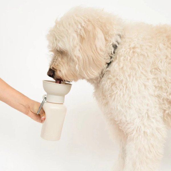 Springer 可收納旅行水壺 590ml