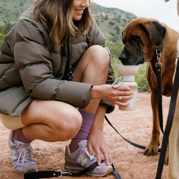 Springer 可收納旅行水壺 590ml