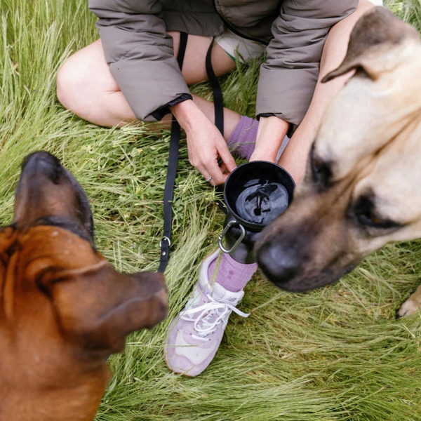 Springer 可收納旅行水壺 590ml