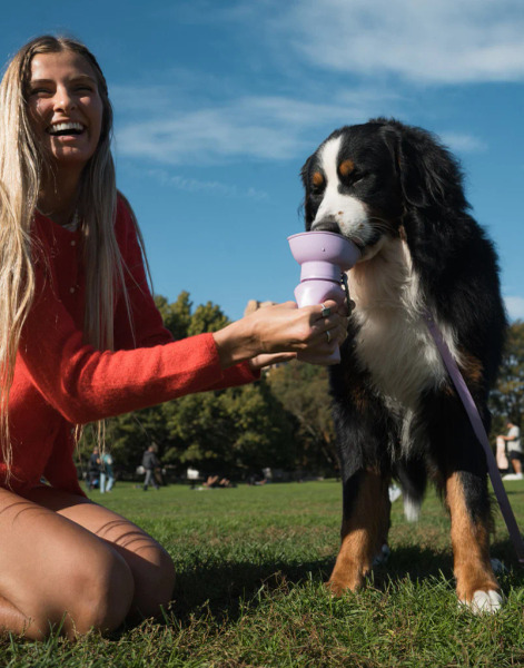 Springer 可收納旅行水壺 590ml