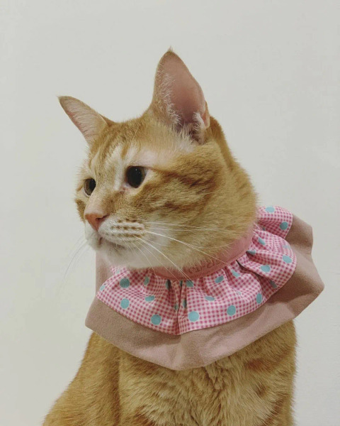 Circle Studio領巾 零碼區