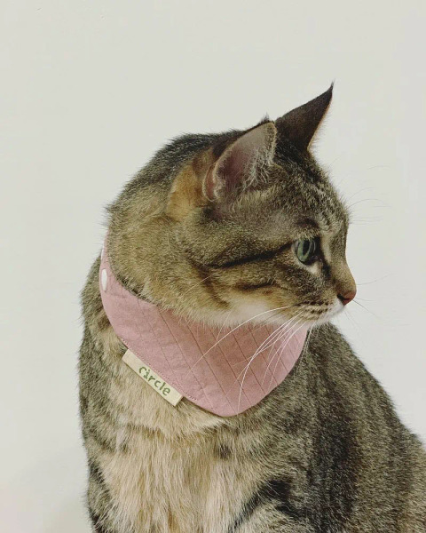 Circle Studio領巾 零碼區