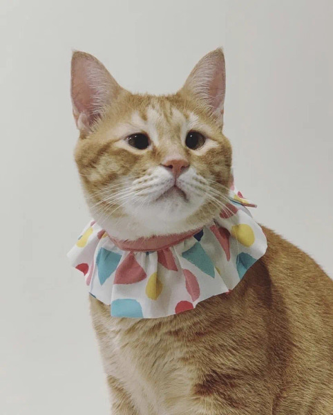 Circle Studio領巾 零碼區